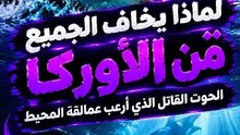 البلاديوم | لماذا يخاف الجميع من الأوركا؟ 😱 الحوت القاتل الذي أرعب عمالقة المحيط  #elpladum #اكسبلور