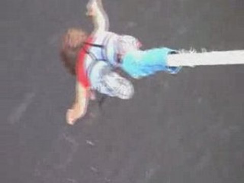 Saut élastique camélia à l'Isle Jourdain