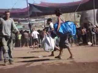 Boom Festival 2008 - We Are All