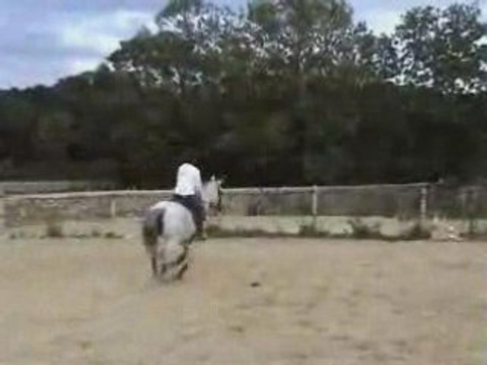 Jadore au galop