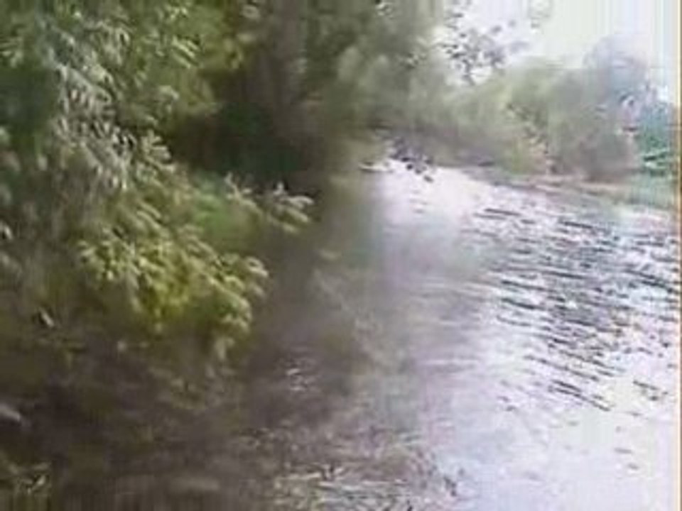 capture d'une truite en directe