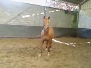 mon loulou