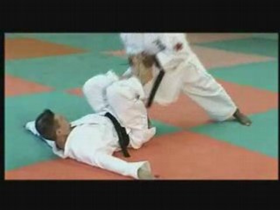 KARATE UECHI RYU