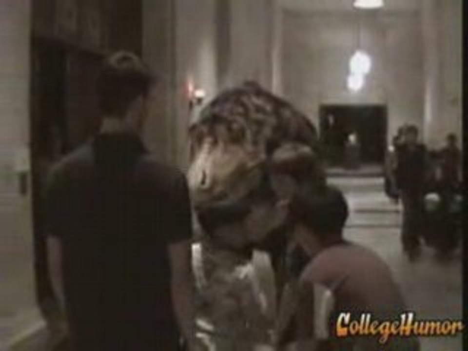 Dinosaure au musee