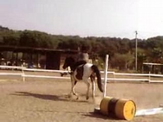 MOii & Tanka O GalOp 3