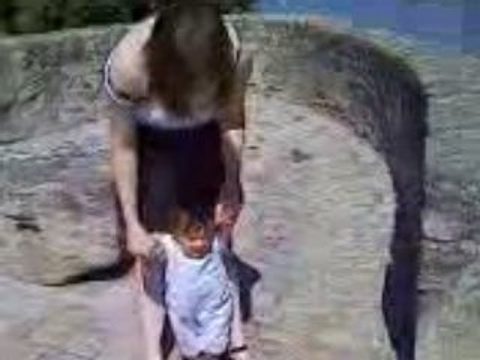 Video111