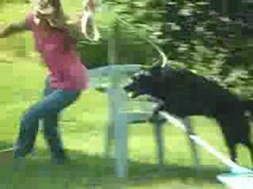 Agility