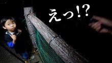 夜の堤防の穴釣りで遭遇した意外な反応