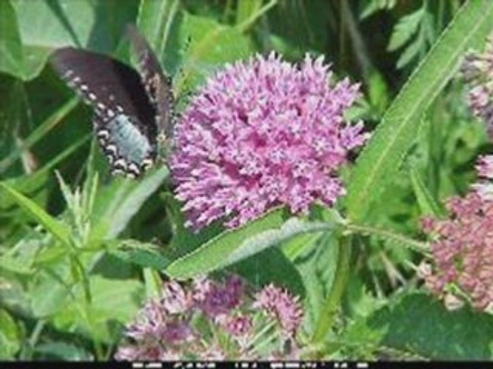 Le réveil de la nature