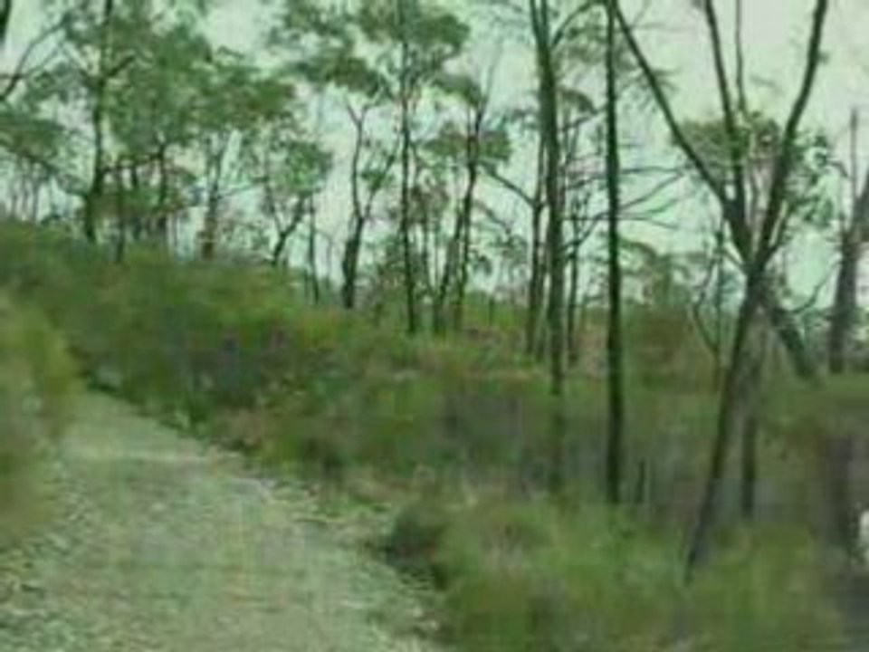 Mount Lofty_vue panoramique