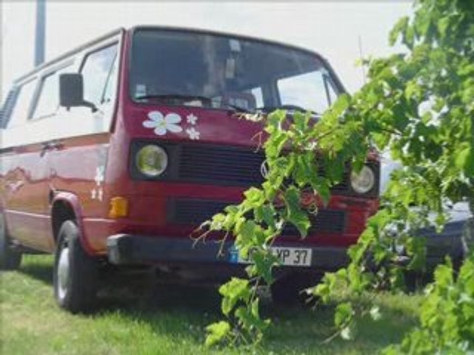 ma golf gti mk1       vw gonz (gti fever ) et ces vw's