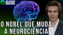 Nobel de Medicina vai para técnica que "liga" e "desliga" neurônios com luz