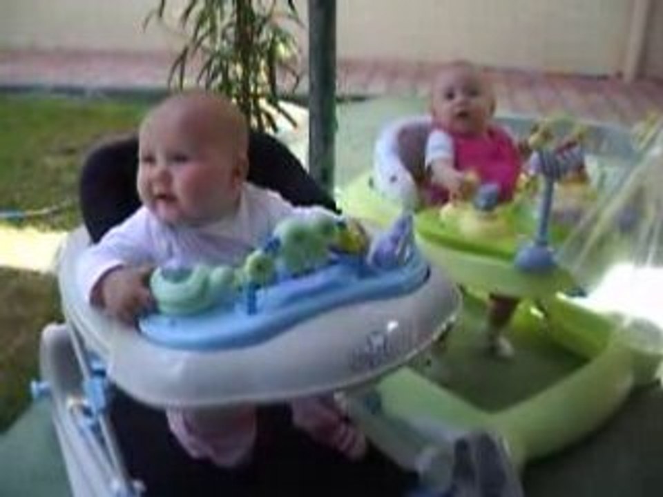 Les puces