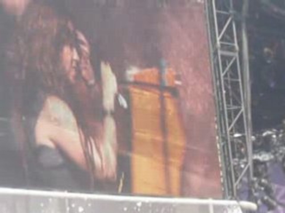 V festival 08 (16) - Alanis Morissette - Ironic