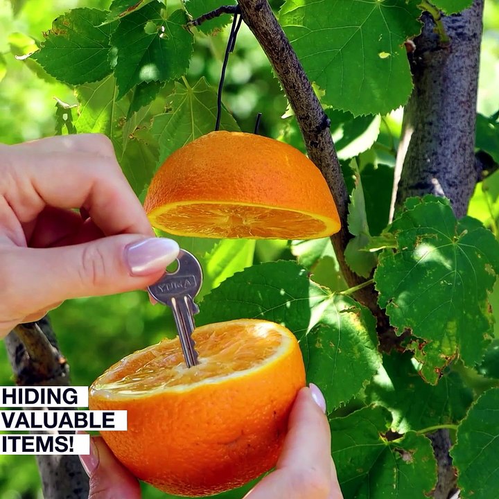 Top secret hacks for hiding important items! 🔍 - video Dailymotion