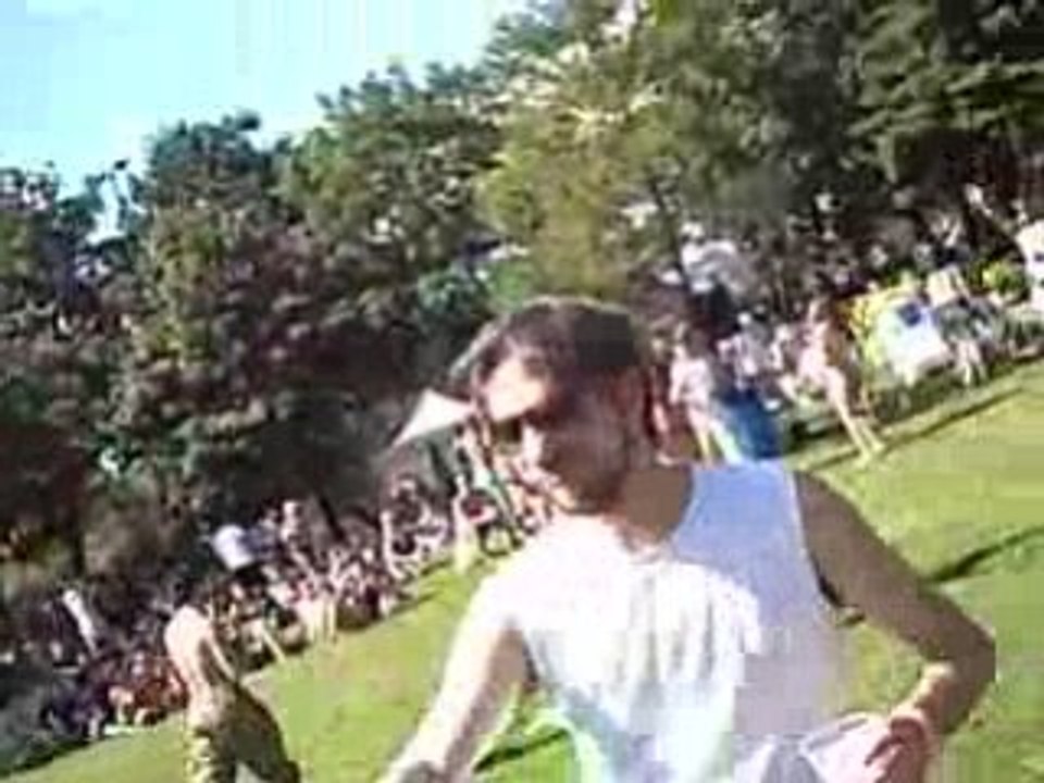 Piknic electronic Montréal dimanche 17