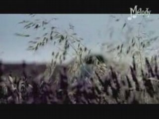 Bouc bel air - Louis CHEDID