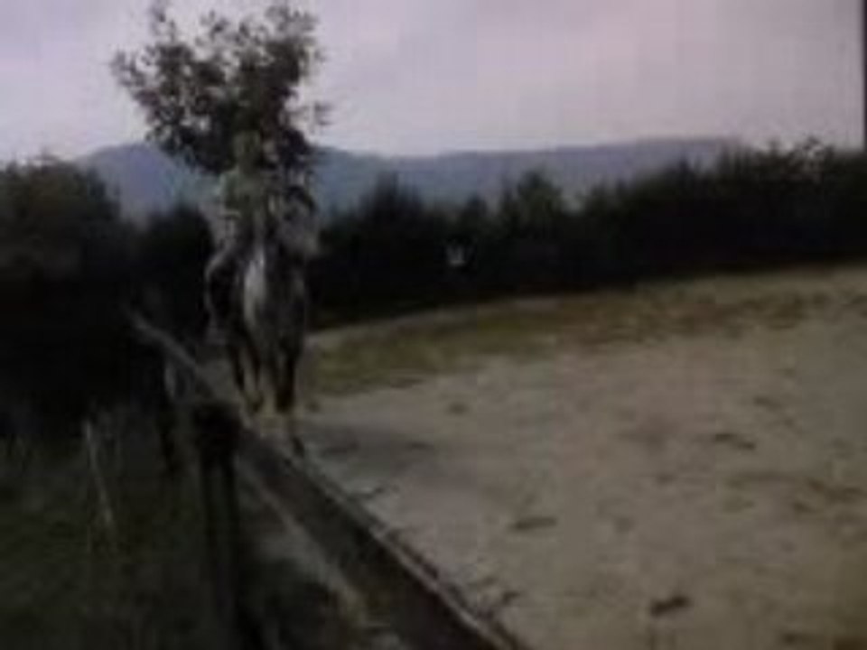 Vidéo0008