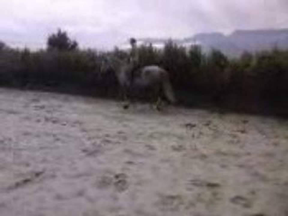 Vidéo0011
