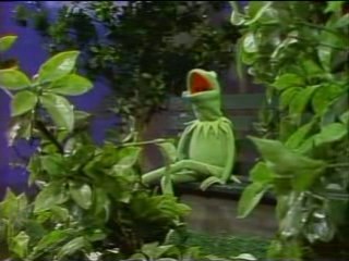 Kermit - A Song From Kermit