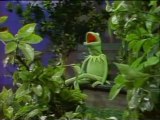 Kermit - A Song From Kermit