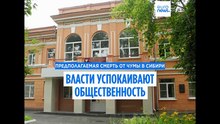 "Ситуация под контролем": российские власти успокивают население после сообщений о вспышке чумы в Сибири
