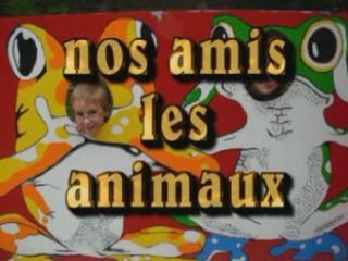 Nos amis les animaux