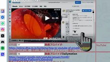 bcam_Dailymotion埋込動画のバク