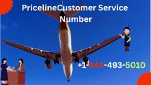 [Priceline] ✮ Customer Support Complete Reference — ✓ Full Help Desk Guide