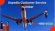 〖Travelocity〗✮Full Customer Care Breakdown — ✓ Complete Support Desk Guide
