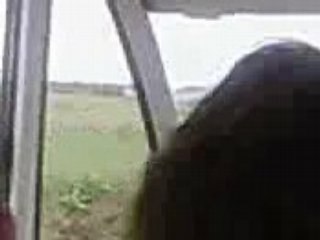 Marais carentan neuf la taute