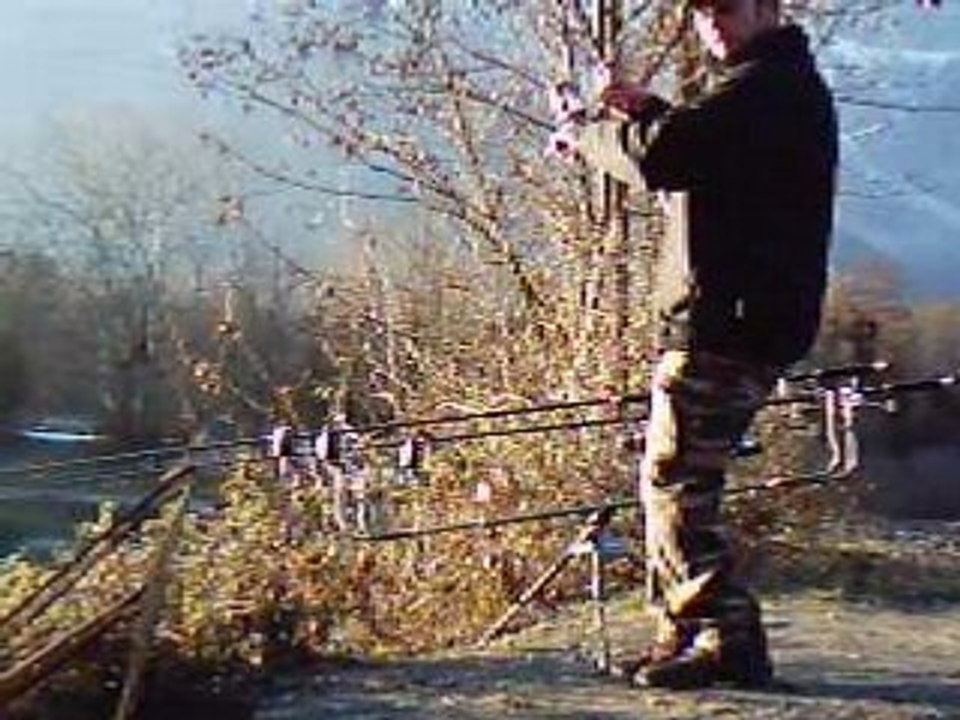 départ carpe en direct