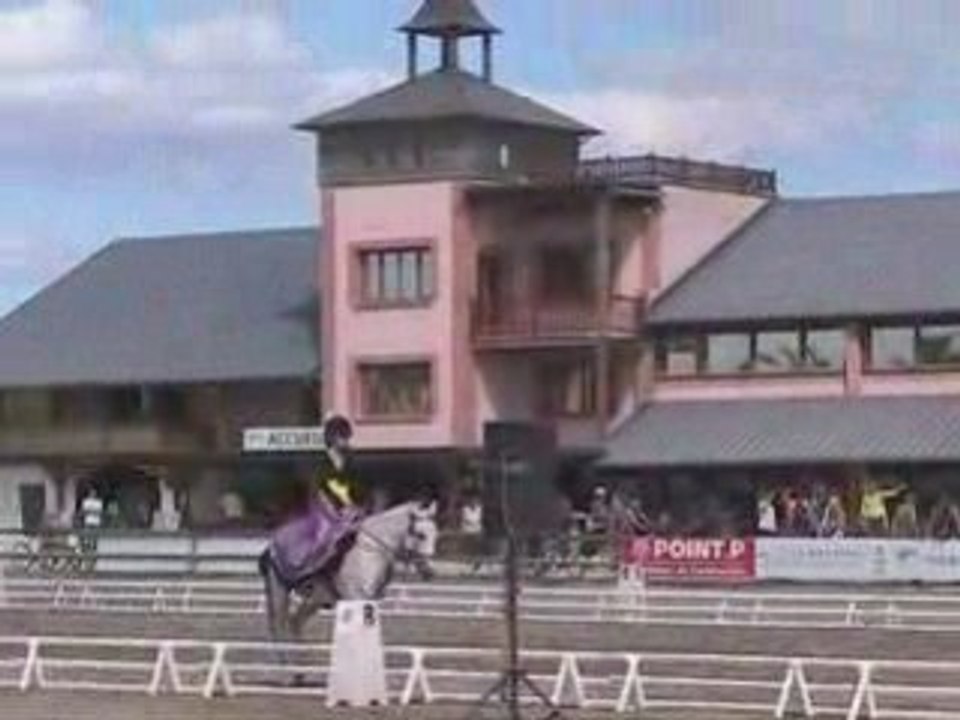Championnat de france 2008 Dressage club 2 jeune cavalier