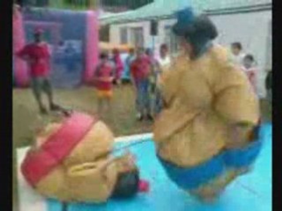 Sumo 2008