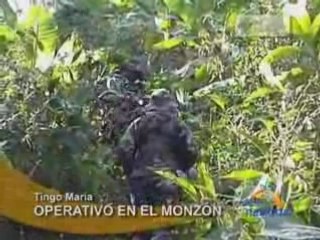 OPERATIVO EN EL MONZÓN - TINGO MARÍA
