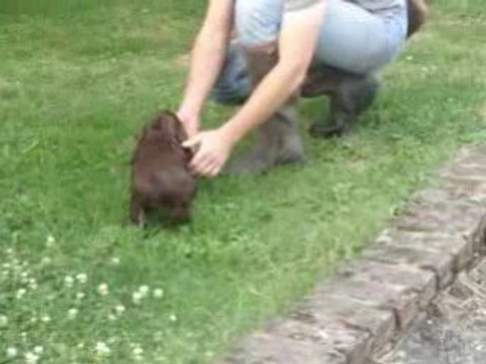 Dakota au rapport