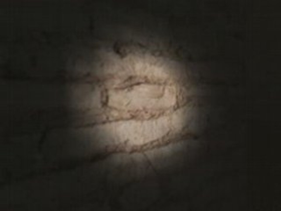 Daidalos - Collision Part 1