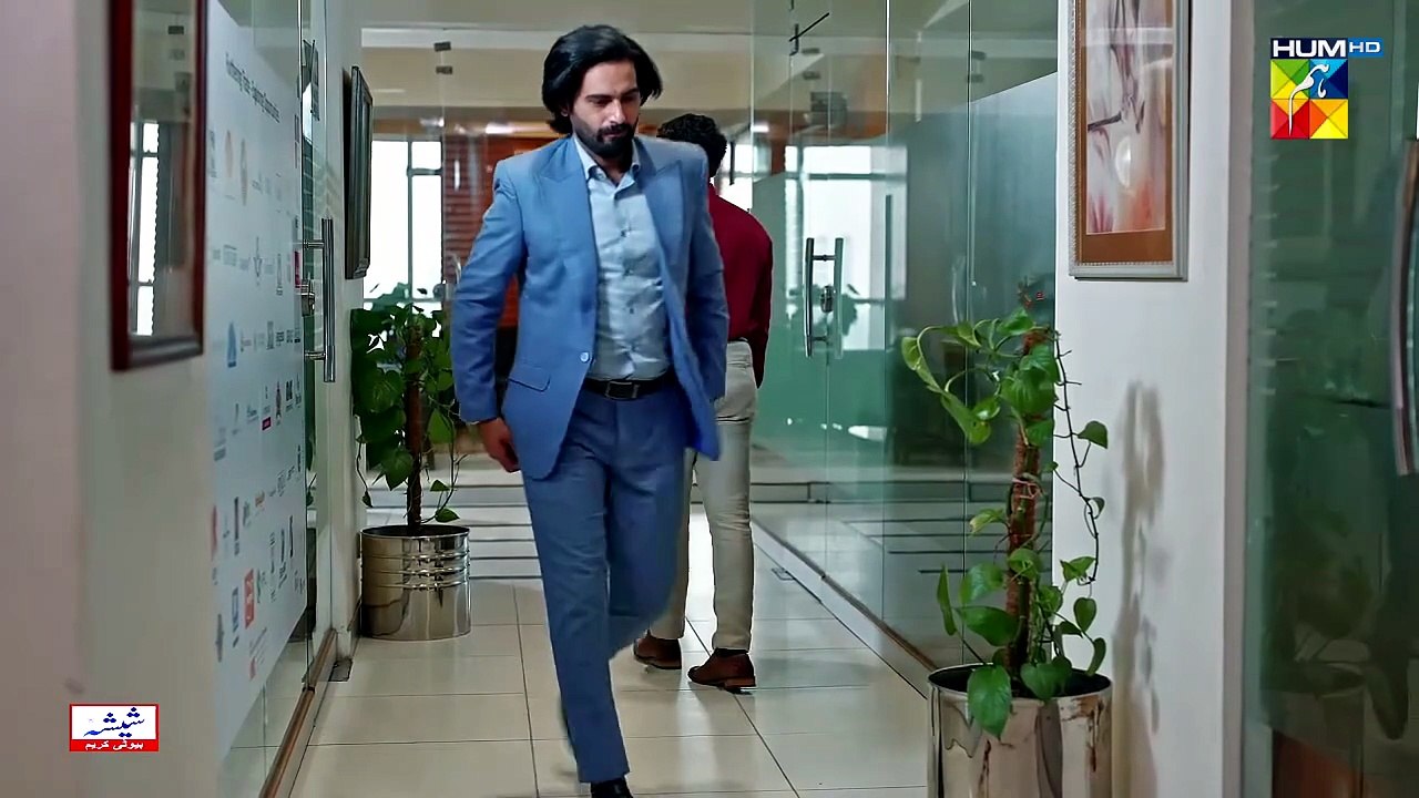 Judwaa - Episode 31 - 11th April 2025 [ Aina Asif Adnan Raza Mir ...