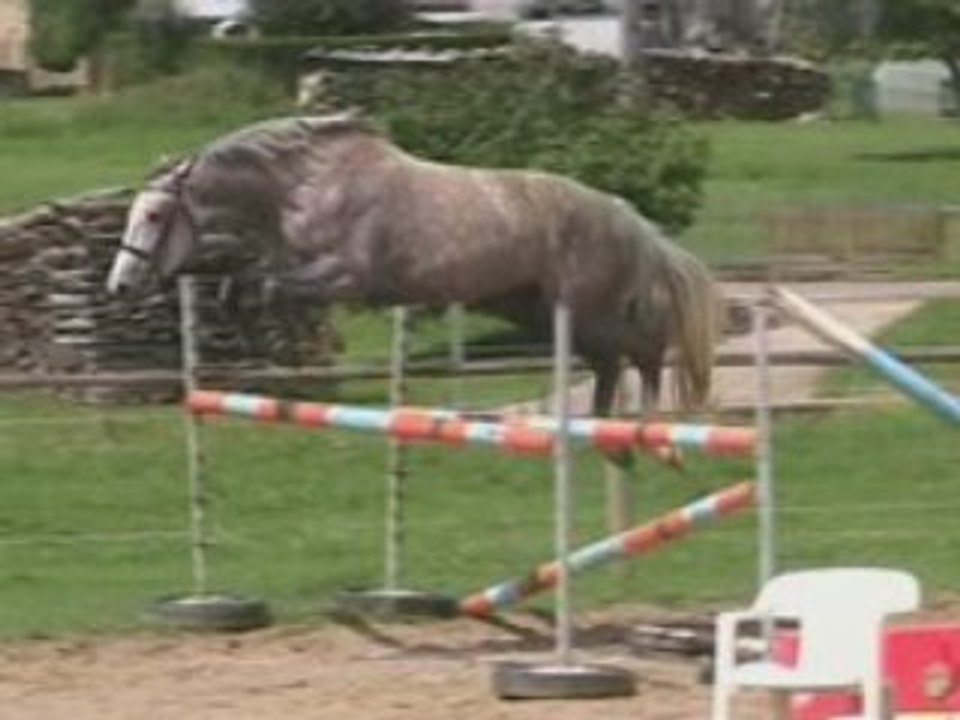 Quincy à 3ans