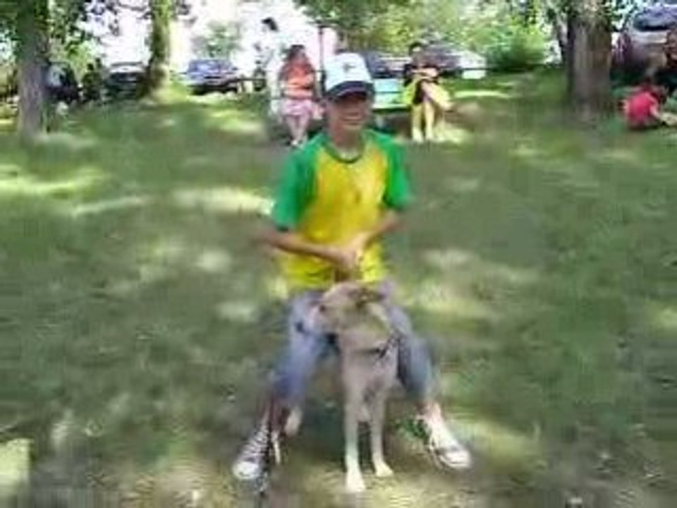 BLV :entrainement joutes a chiens