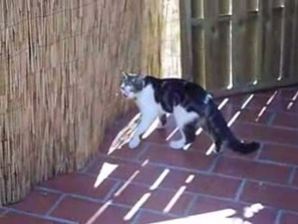 Néro 6 mois et demi