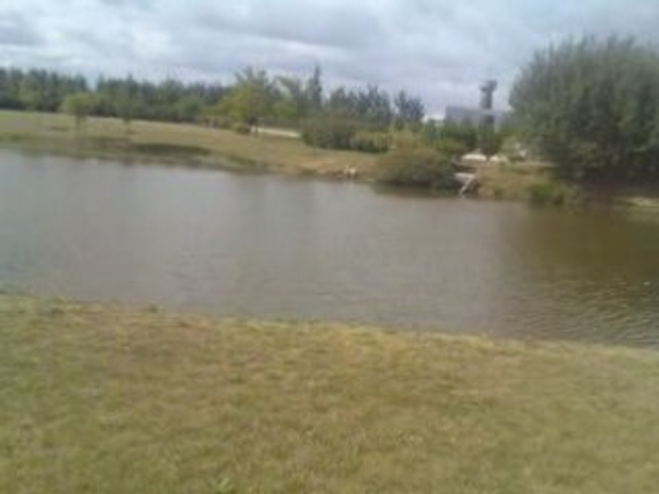 Entrainement Aurphée et Vickie 19-08-08