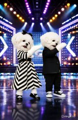 Casal de cães dançando coreografia de K-pop
