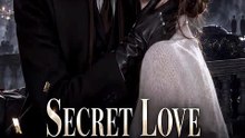 Secret Love of the Mafia Queen