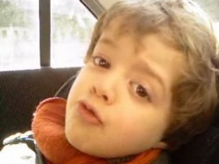 spider-cochon----matthias