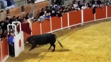 Capeia Noturna Soito 2026  2* touro