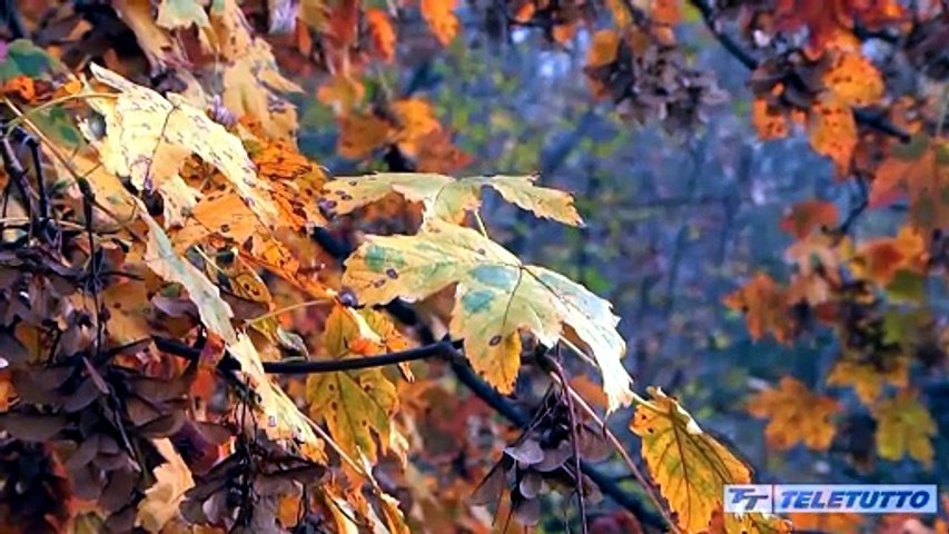Video News - Riscaldamento: impianti accesi dal 15 ottobre