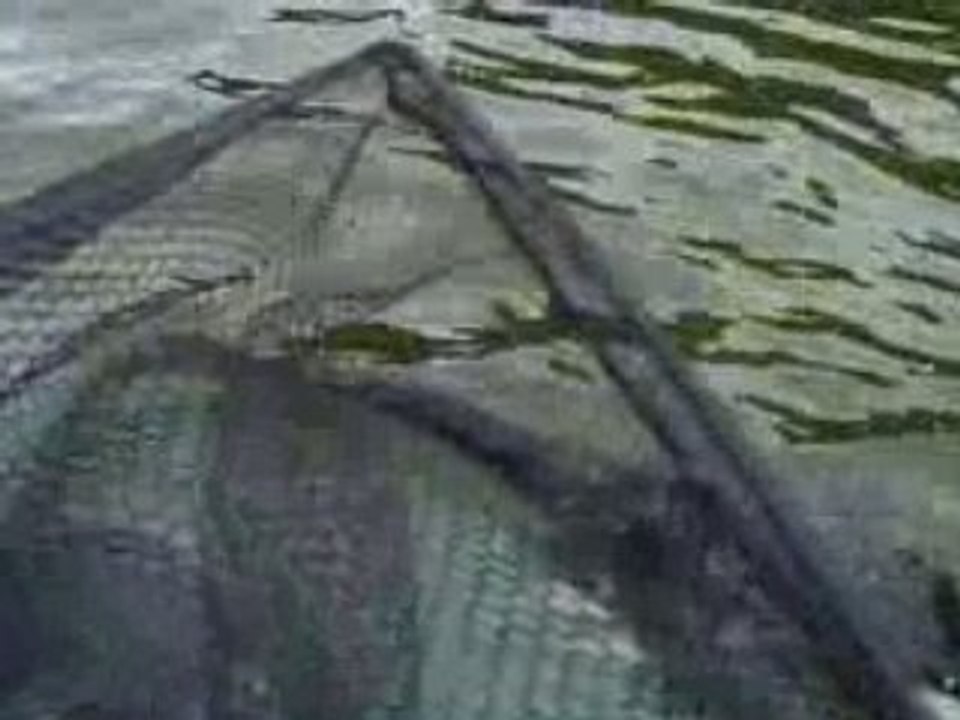 combat en bateaux