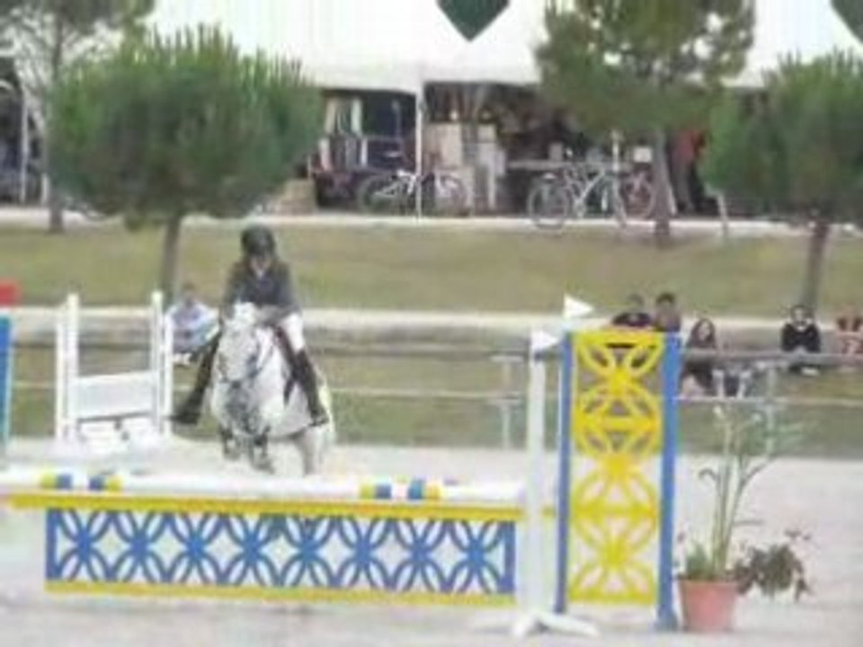 Championnat de France Poneys 2008.