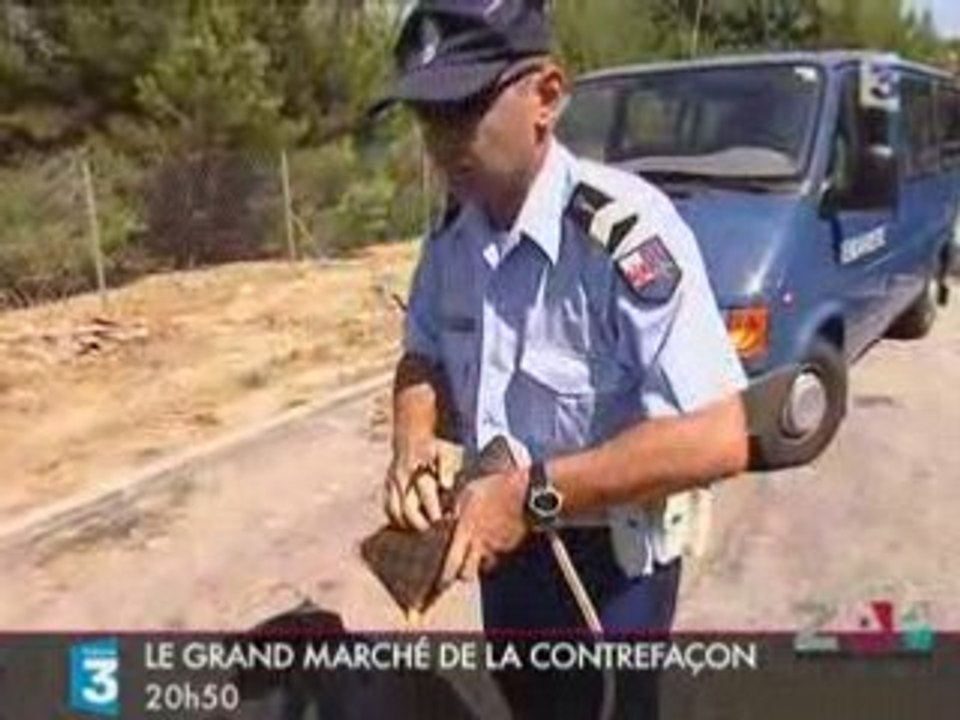 Zapping du 30 juillet 2008 par zap-tele.com